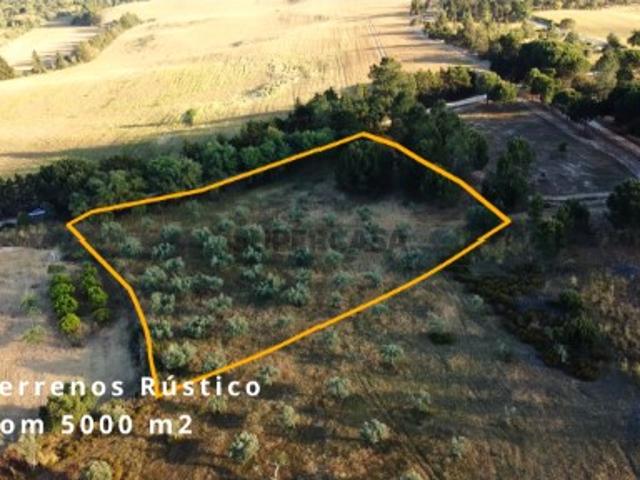 Terreno venda em Montijo, Setúbal