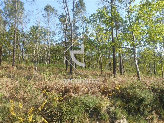 Terreno venda em Rubiães, Viana Do Castelo