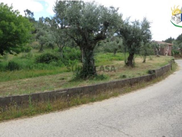 Terreno venda em Castelo Branco, Proença-a-nova