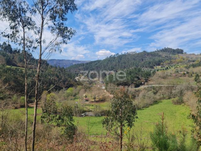 Terreno venda em Cruz do Muro, Cabeceiras De Basto