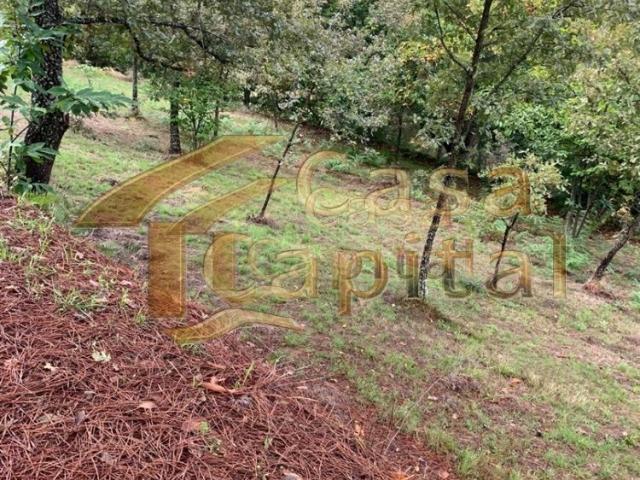 Terreno venda em Vila Real