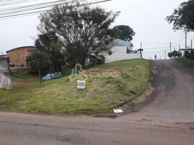 Terreno venda em Passo Fundo