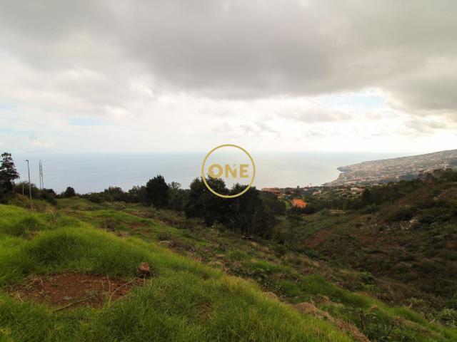 Terreno venda em Santa Cruz