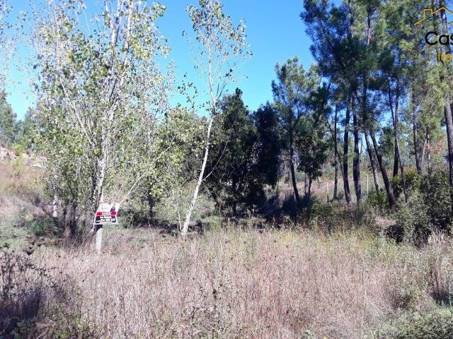 Terreno venda em Castelo Branco, Cumeada