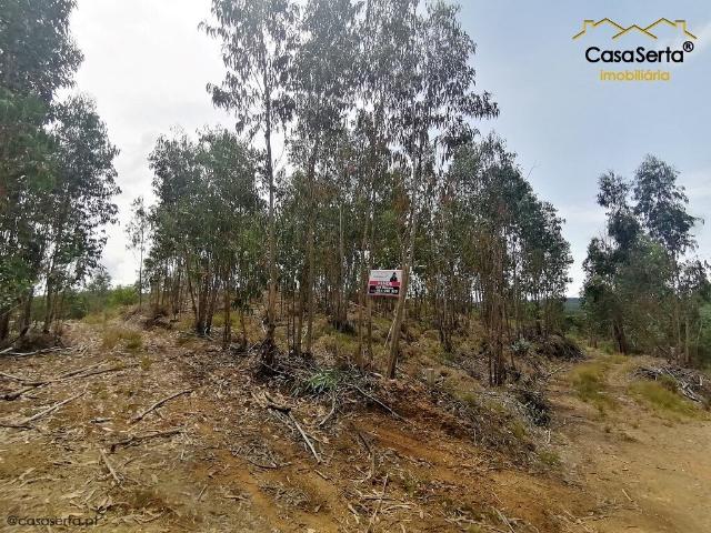 Terreno venda em Pedrógão Grande, Leiria