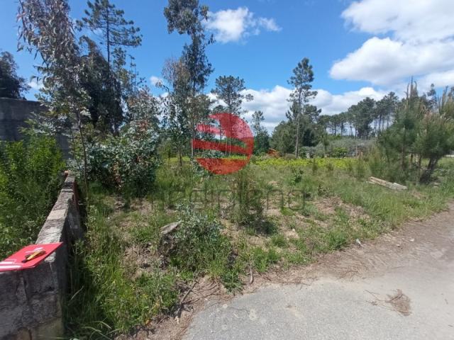 Terreno venda em Bodiosa-a-Nova, Viseu