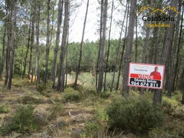 Terreno venda em Pedrógão Grande, Leiria
