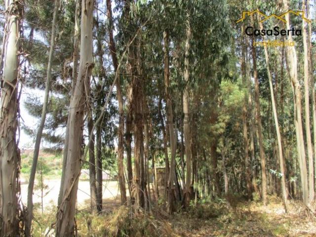 Terreno venda em Pedrógão Grande, Leiria