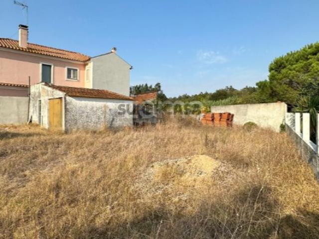 Terreno venda em Montemor-o-velho Terreno venda em Montemor-o-velho