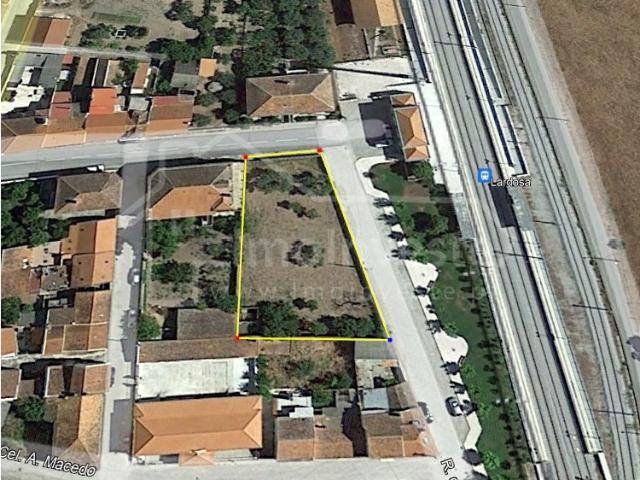 Terreno venda em Castelo Branco