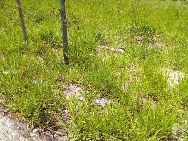 Terreno venda em Região Geográfica Imediata de São João del Rei, Coronel Xavier Chaves