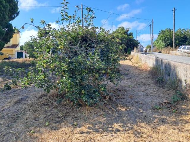 Terreno venda em Caldas Da Rainha, Leiria
