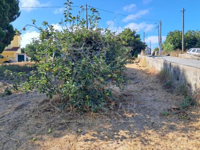 Terreno venda em Caldas Da Rainha, Leiria