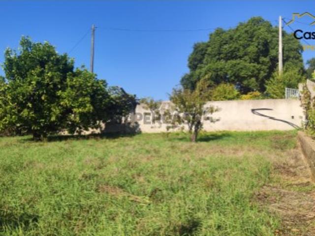 Terreno venda em Castelo Branco, Cumeada