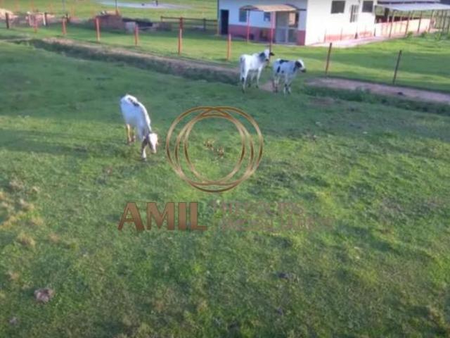 Terreno venda em Região Imediata de Caraguatatuba-Ubatuba-São Sebastião, Região Metropolitana do Vale do Paraíba e Litoral Norte