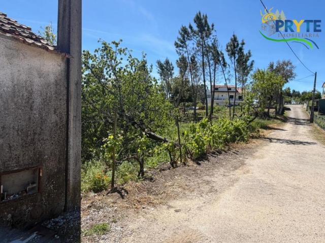 Terreno venda em Castelo Branco, Cumeada