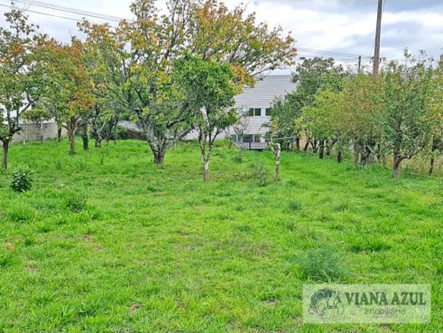 Terreno venda em Viana Do Castelo
