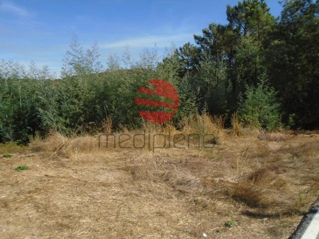 Terreno venda em Bodiosa-a-Nova, Viseu