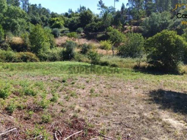 Terreno venda em Castelo Branco, Cumeada