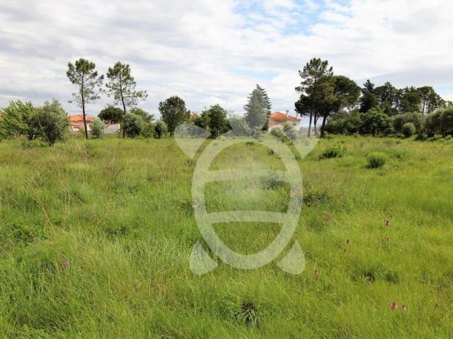 Terreno venda em Condeixa-a-nova, Coimbra