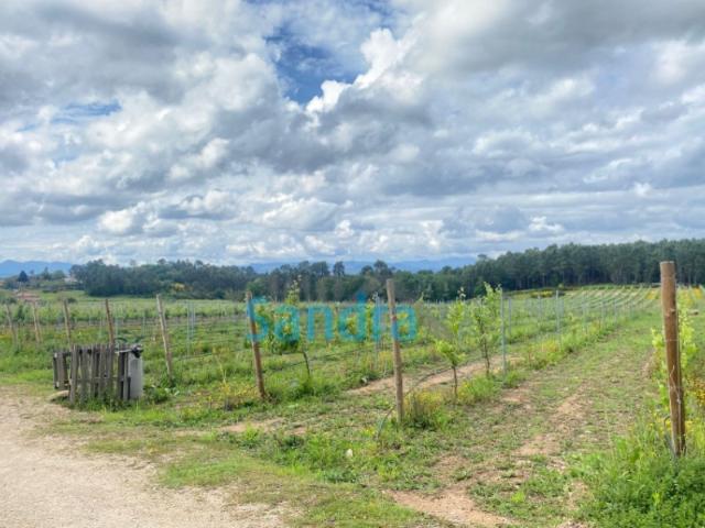 Terreno venda em Monção, Viana Do Castelo