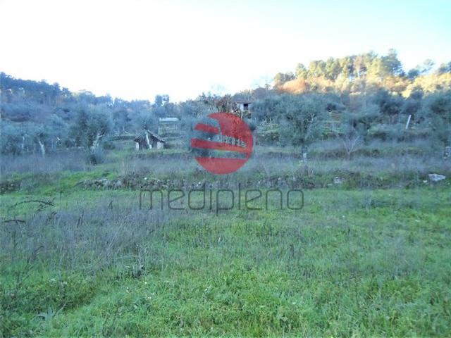 Terreno venda em Sarzedelo, Viseu