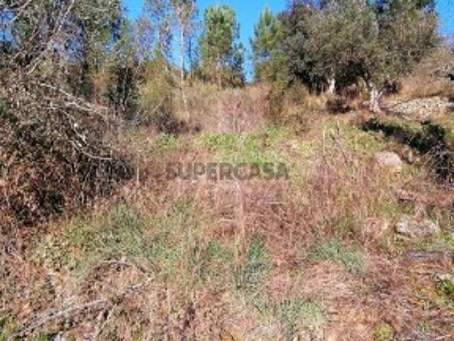 Terreno venda em Castelo Branco, Cumeada