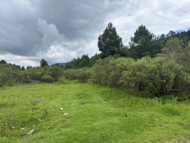 Terreno en venta en Uruapan, Michoacán