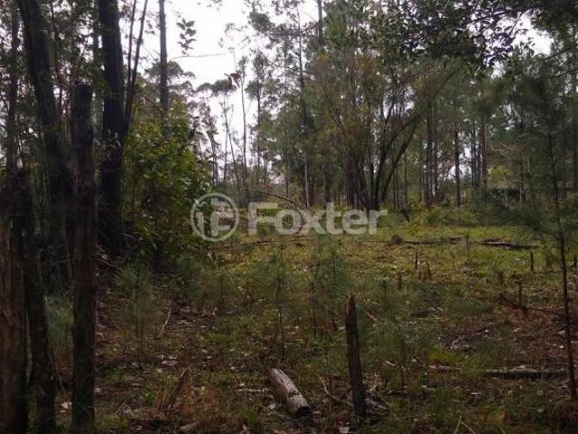 Terreno venda em Região Geográfica Imediata de Tramandaí - Osório, Aglomeração Urbana do Litoral Norte