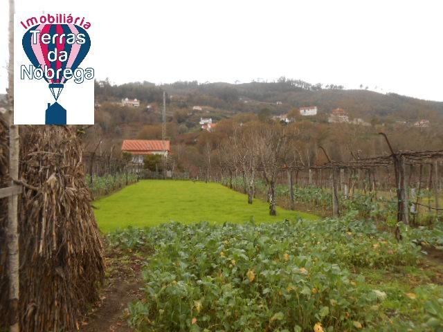 Terreno venda em Grovelas São João Evangelista, Viana Do Castelo