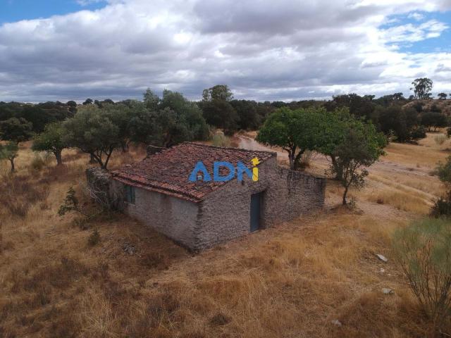 Terreno venda em Castelo Branco, Idanha-a-nova
