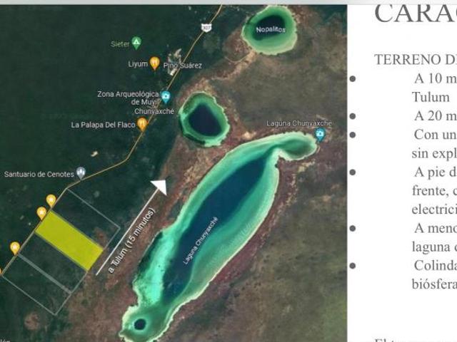 Terreno 5 Hectáreas Tulum Chunyaxché Frente a Carretera, Cenote y Acceso a Elect
