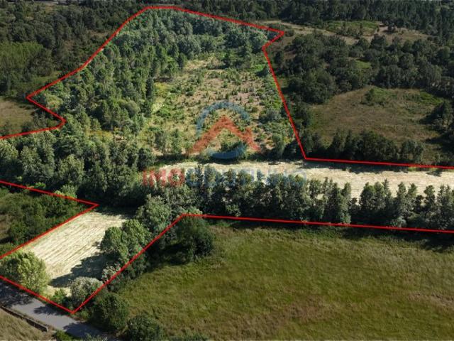 Terreno venda em Barbadães de Baixo, Afonsim
