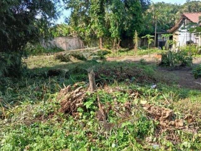 Terreno venda em Rocio, Morretes