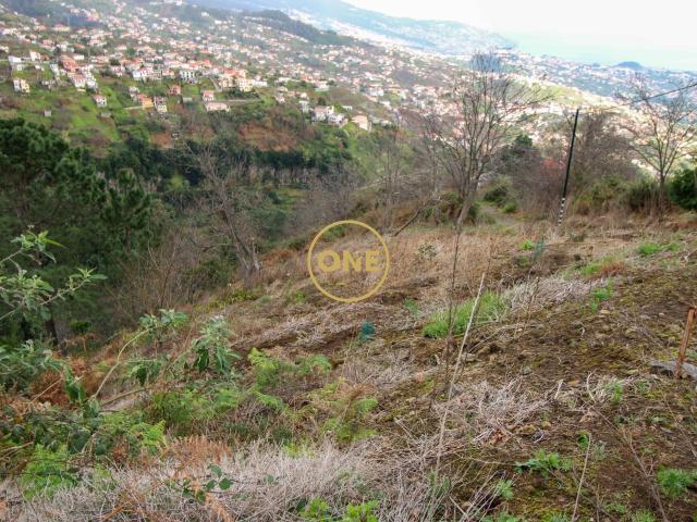 Terreno venda em Câmara De Lobos, Ilha Da Madeira