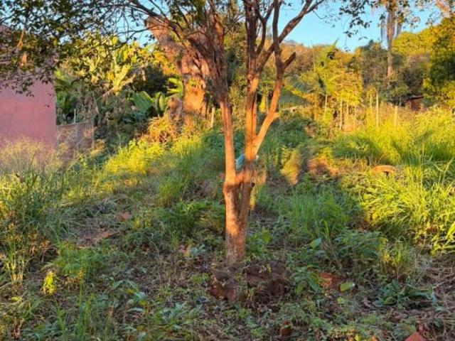 Terreno venda em Itapira