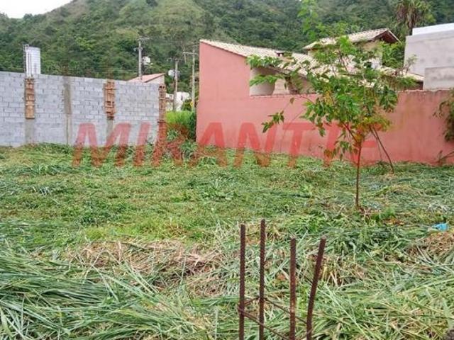 Terreno venda em São Francisco da Praia, São Sebastião