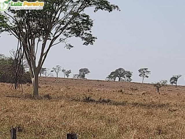 Terreno venda em Região Geográfica Imediata de Ituiutaba, Santa Vitória