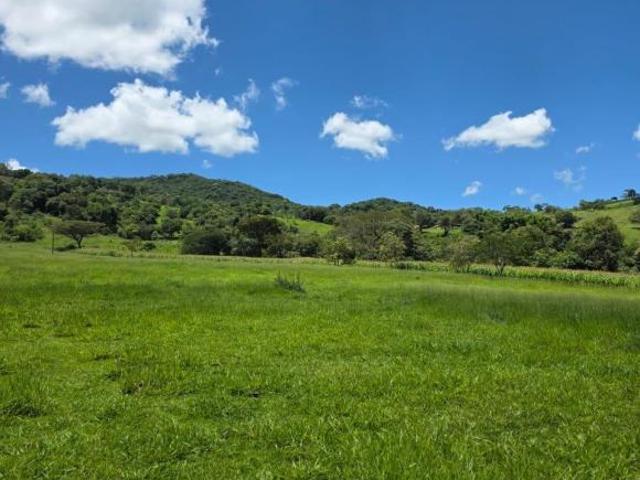 Terreno venda em Região Geográfica Imediata de Oliveira, Piracema