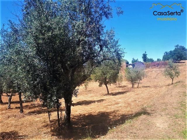 Terreno venda em Castelo Branco, Cumeada
