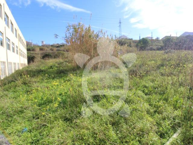 Terreno venda em Figueira Da Foz, Coimbra