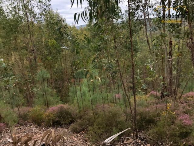 Terreno venda em Pedrógão Grande, Leiria