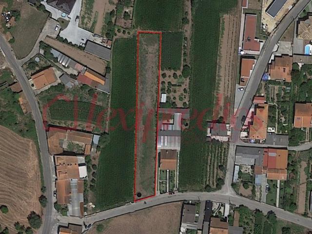 Terreno venda em Quinta do Morangal, Águeda