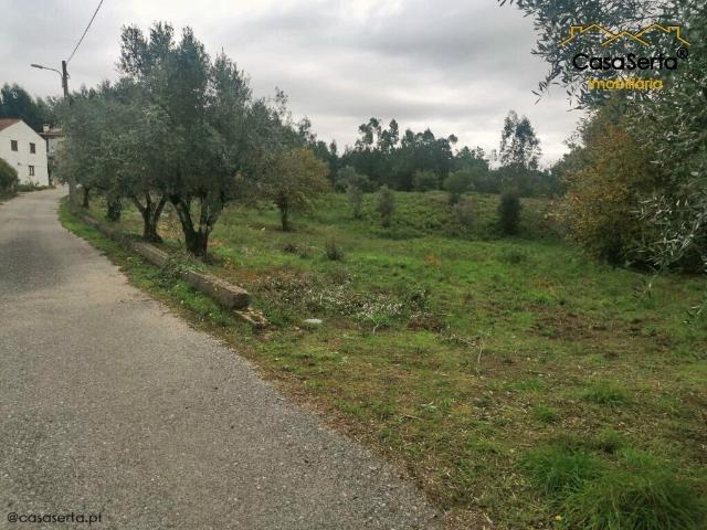 Terreno venda em Cernache do Bonjardim, Nesperal e Palhais, Sertã