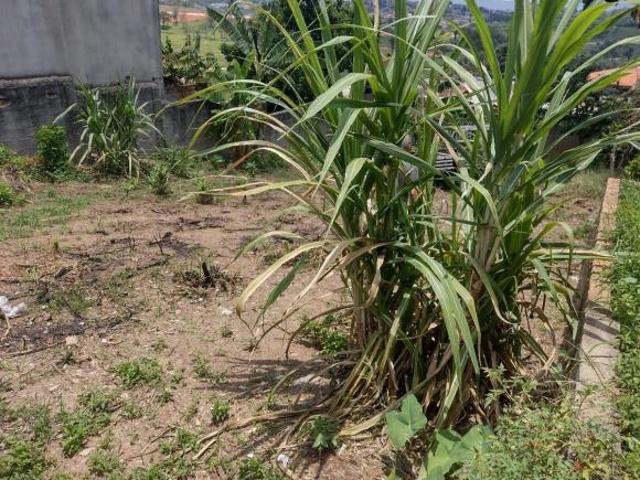 Terreno venda em Região Geográfica Imediata de Belo Horizonte, Região Metropolitana de Belo Horizonte