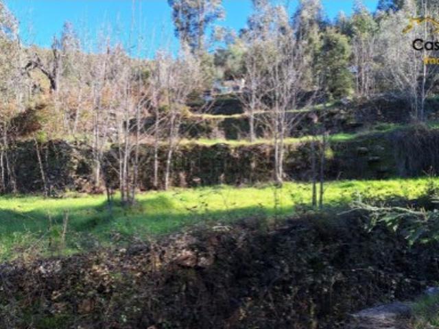 Terreno venda em Castelo Branco, Oleiros