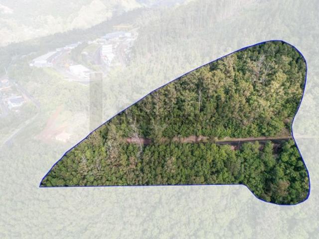 Terreno venda em Ribeira Brava, Ilha Da Madeira