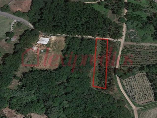 Terreno venda em Landiosa, Águeda