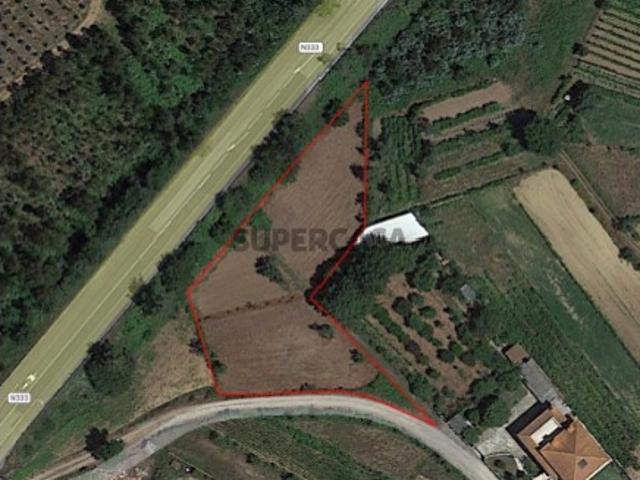 Terreno venda em Águeda