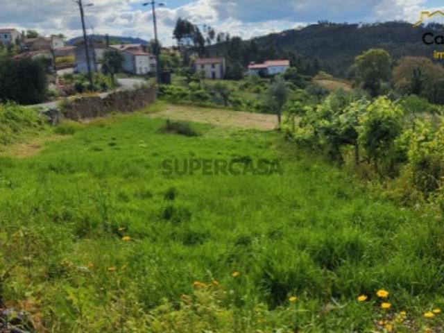 Terreno venda em Castelo Branco, Cumeada